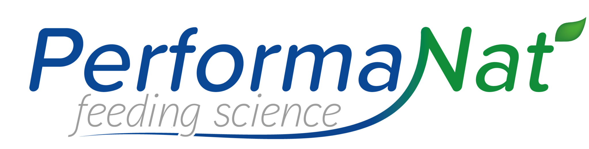 Performanat Logo